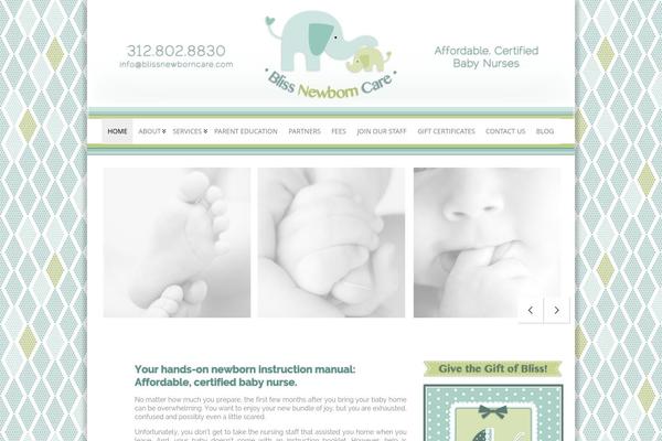 WordPress website example screenshot