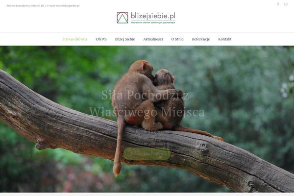 Avada theme site design template sample