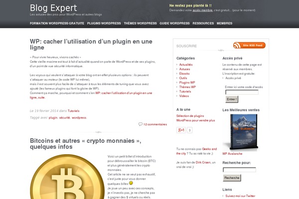 WordPress website example screenshot