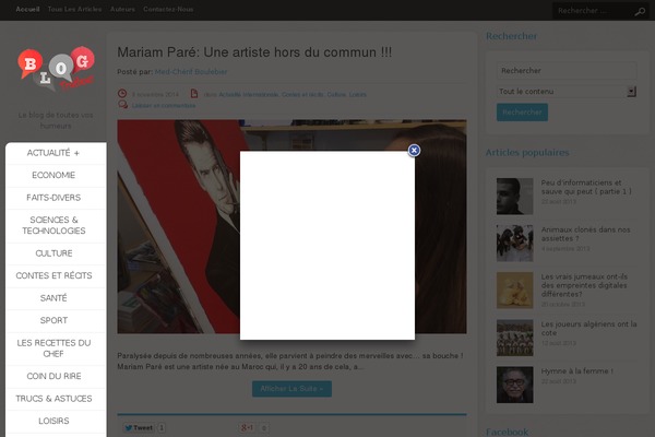WordPress website example screenshot