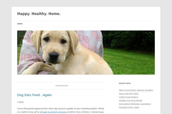 WordPress website example screenshot