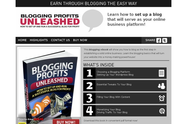 blogging-profits-unleashed.com site used Wptheme