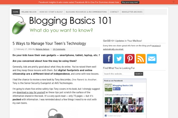 WordPress website example screenshot