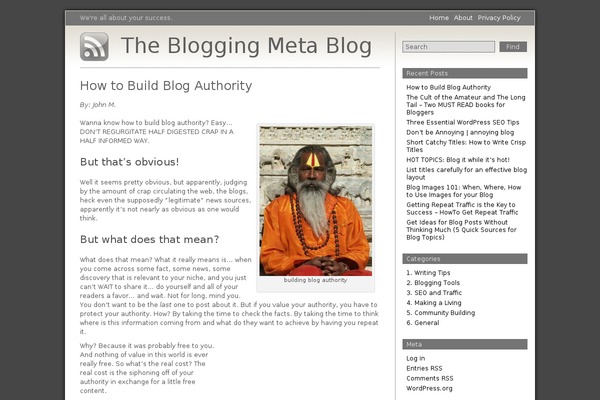 bloggingmetablog.com site used Grey_matter_2