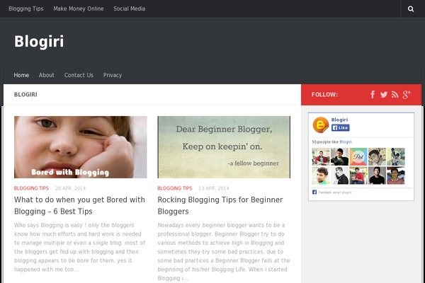 Hueman theme site design template sample