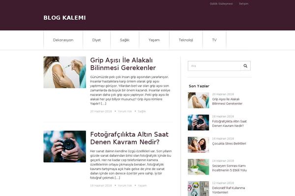 blogkalemi.com site used Startingup