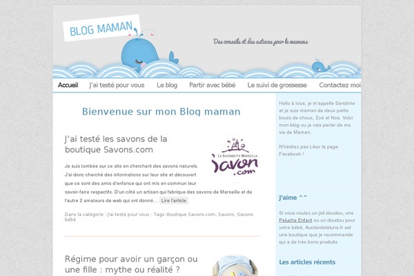 blogmaman.net site used Blogmaman1