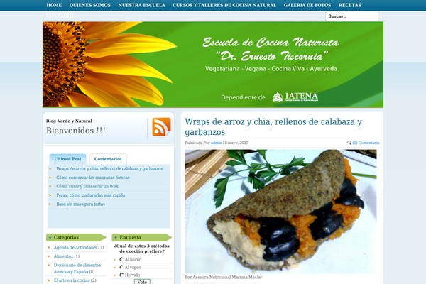 blogverdeynatural.com.ar site used Organic