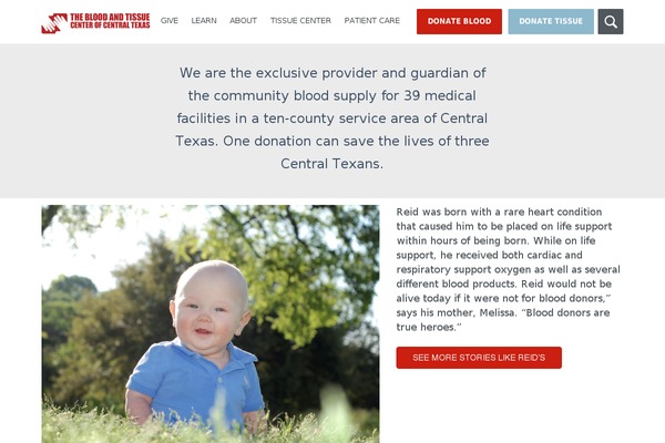 Divi theme site design template sample