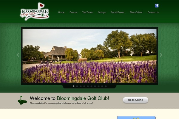 bloomingdalegc.com site used Colt-theme