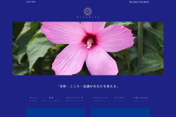 Site using Advanced Responsive Video Embedder plugin