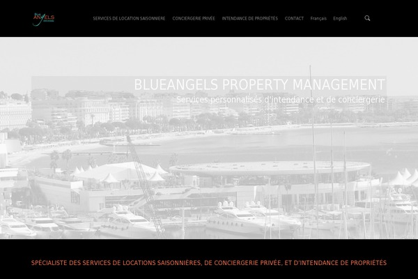 blueangels.pro site used Blueangels