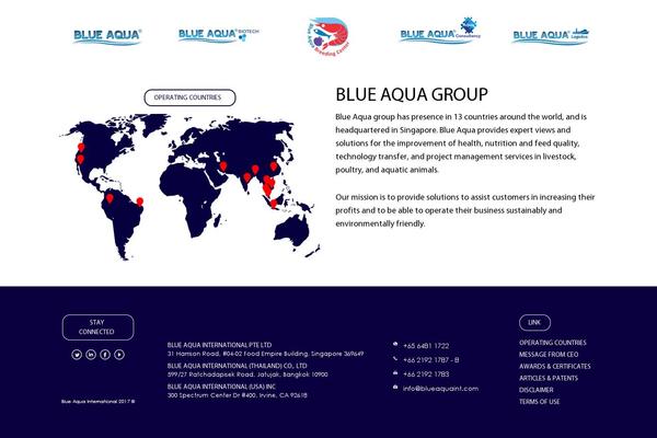 blueaquaint.com site used Blue-aqua-group