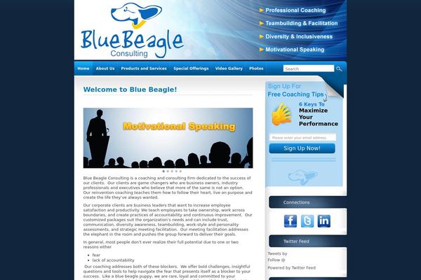bluebeagleconsulting.com site used intrepidity