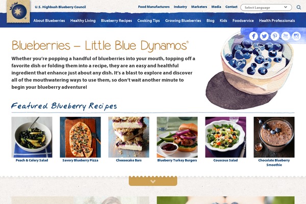 blueberrycouncil.com site used Blueberry2014
