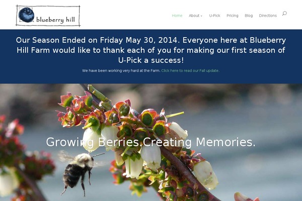 blueberryhill WordPress theme, websites list used blueberryhill theme blueberryhill theme websites examples