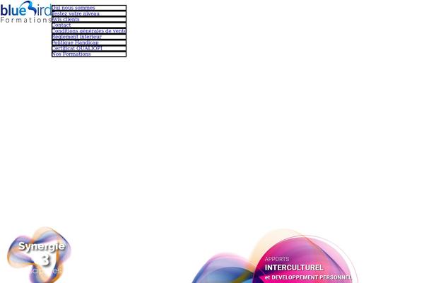 Avada theme site design template sample