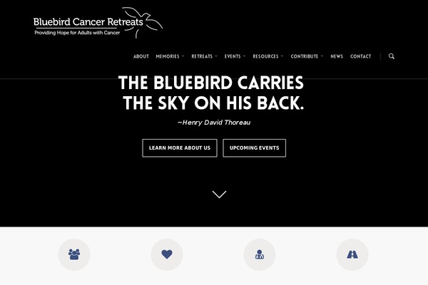 Salient theme site design template sample