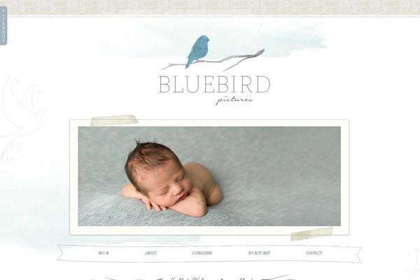 Prophoto4 theme site design template sample