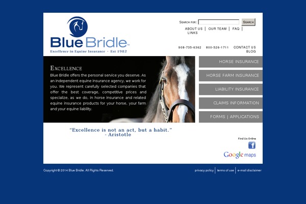 bluebridle.com site used Blue-bridle