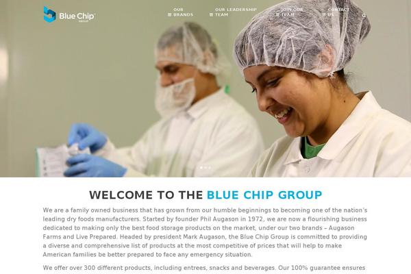 bcg theme websites examples