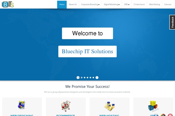 bluechipitsolutions.in site used Busiprof