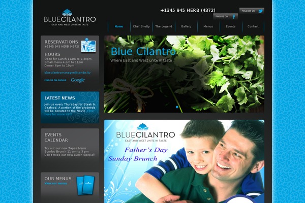 bluecilantrocayman.com site used Blue-cilantro