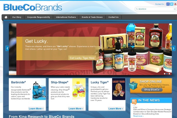 blueco WordPress theme, websites list used blueco theme blueco theme websites examples