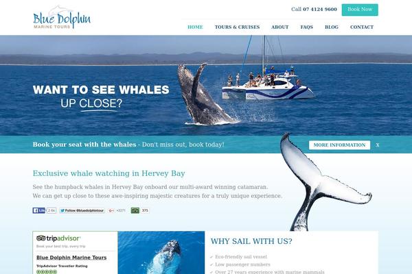 bluedolphintours.com.au site used Bluedolphin