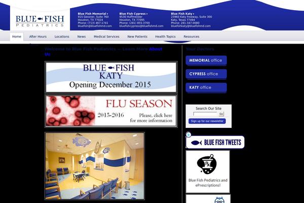 bluefishplc.com site used Bluefish