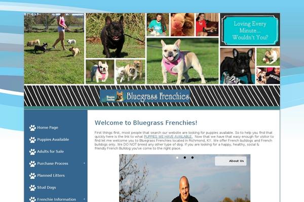 bluegrassfrenchies.com site used Swiftraytheme