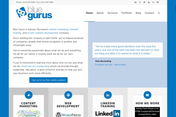 bluegurus.com site used Focuswp.bluegurus