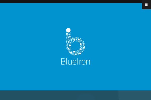 blueironip.com site used Blue-iron