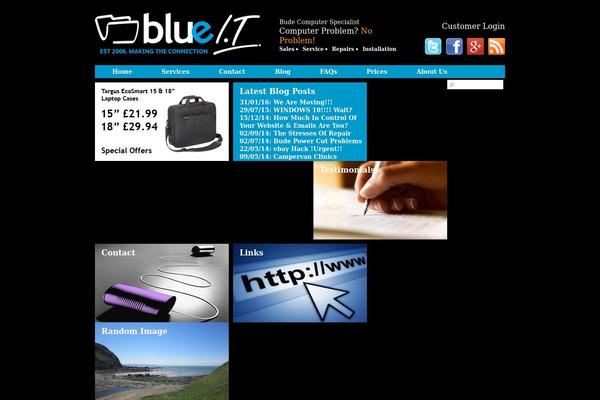blueit theme websites examples