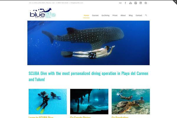 Inovado theme site design template sample