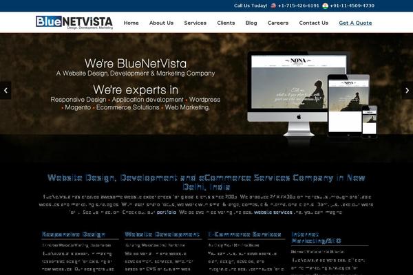 bluenetvista.com site used Bluenetvista_responsive