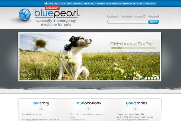bluepearlvet.com site used Bluepearlvet