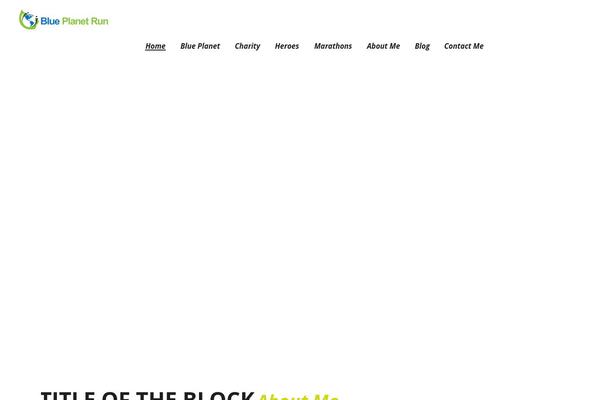 Redy theme site design template sample