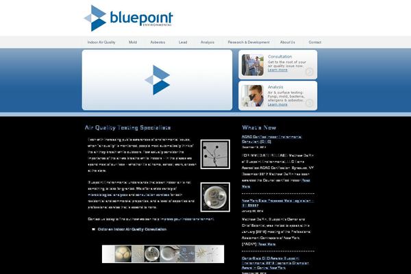 bluepointenvironmental.com site used Bluepoint