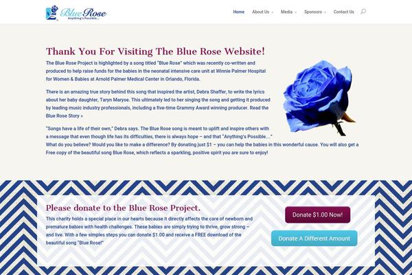 Divi theme site design template sample