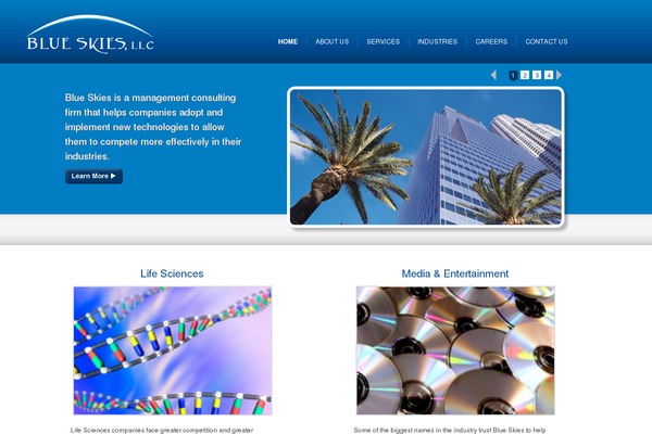 blueskiesllc.com site used Blueskies.tmp