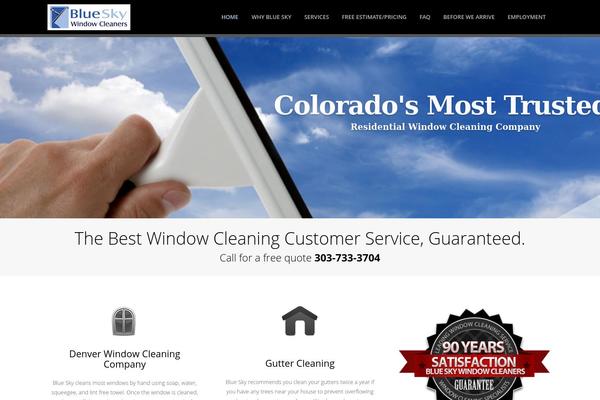 blueskywindowcleaners.com site used Chemic