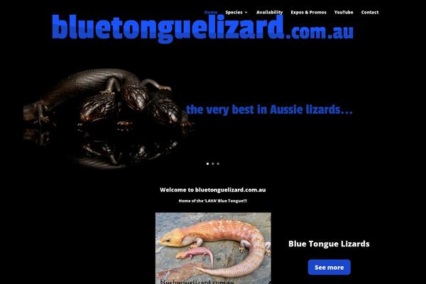 Divi theme site design template sample