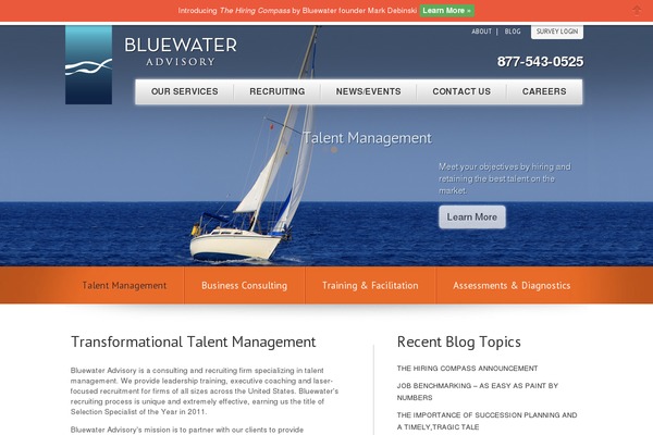 bluewateradvisory.com site used Bluewater