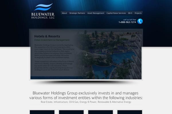 bluewaterholdingsllc.com site used Options