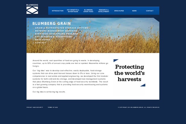 BG-theme theme websites examples