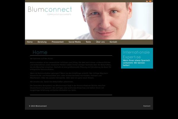 blumconnect.com site used Blumconnect