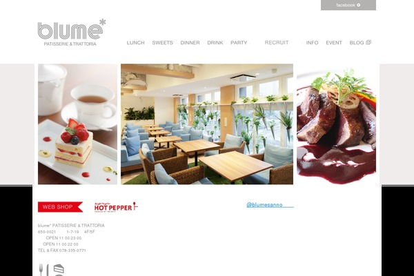 blume-web.com site used Blume
