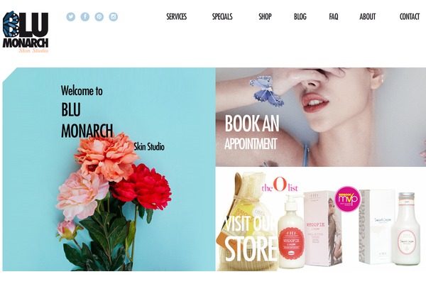 blumonarchskinstudio.com site used Blu-monarch