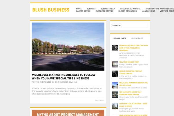 blushbusiness.com site used Groovy